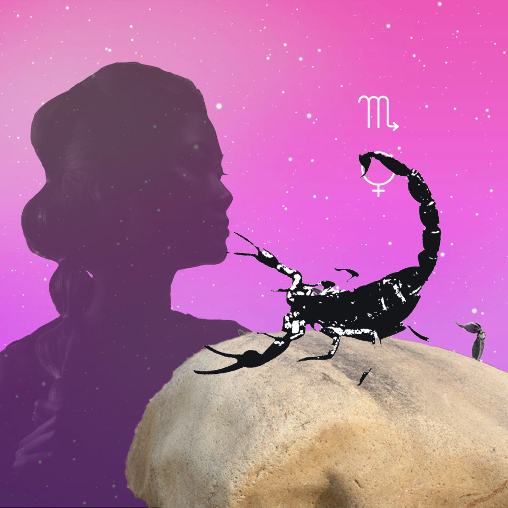 天蝎座的女人是恐怖星座的代表,应当怎样正确看待