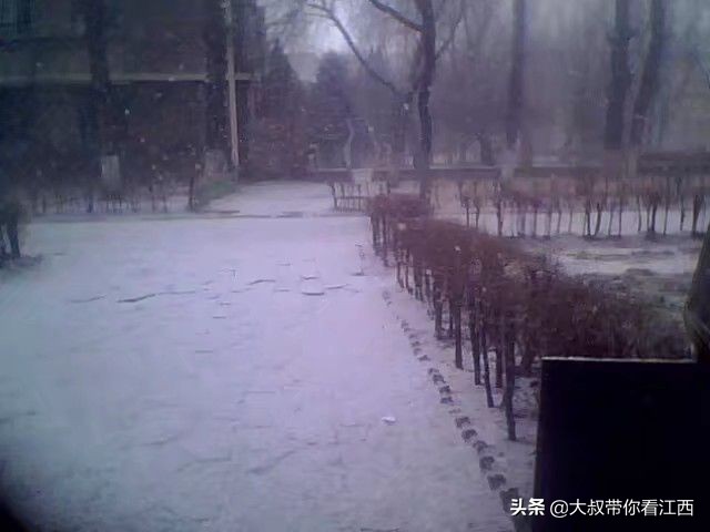 大同医专校园回忆