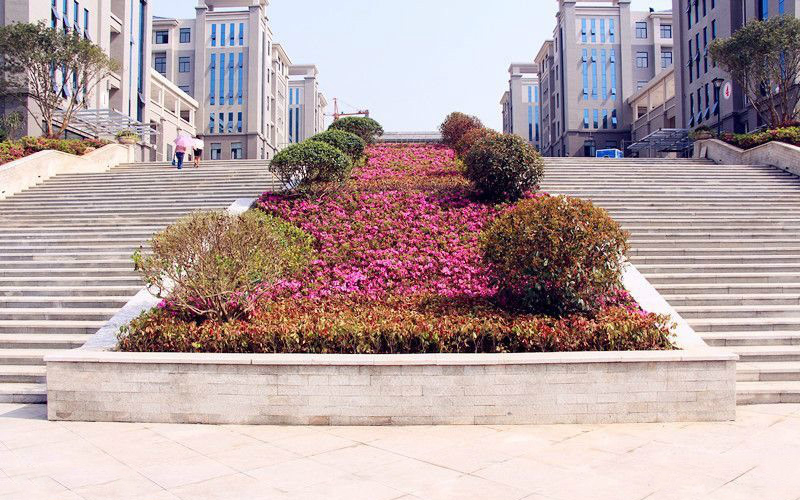 湖北十堰五所好高中，郧阳中学一马当先，竹山、竹溪县中相当出彩