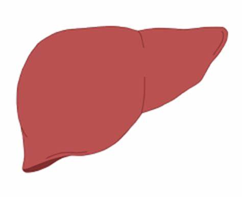 辟谣：护肝药能保护肝脏，使乙肝不发病吗？听听肝病医生怎么说
