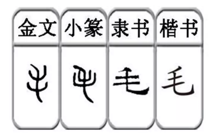 毛字家族：毛牦髦耄，终于认清了耄耋老人的模样