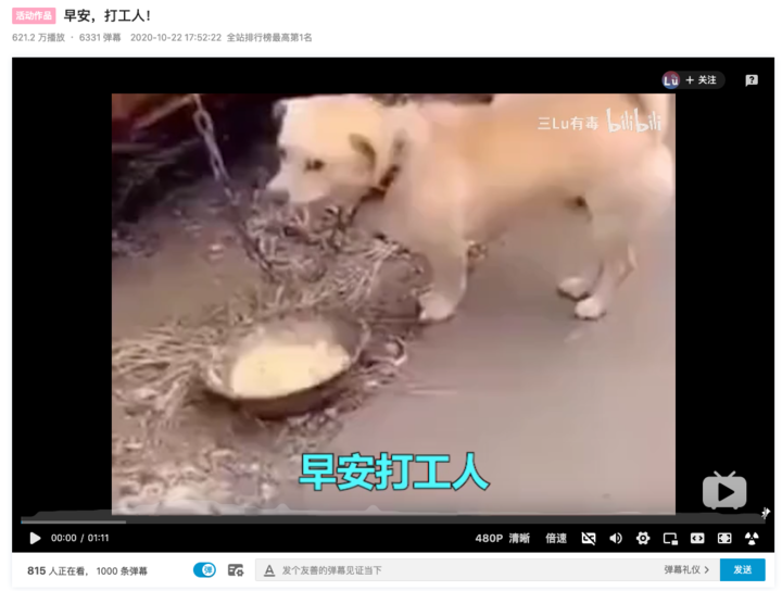 早安打工人，为何能成流行梗？