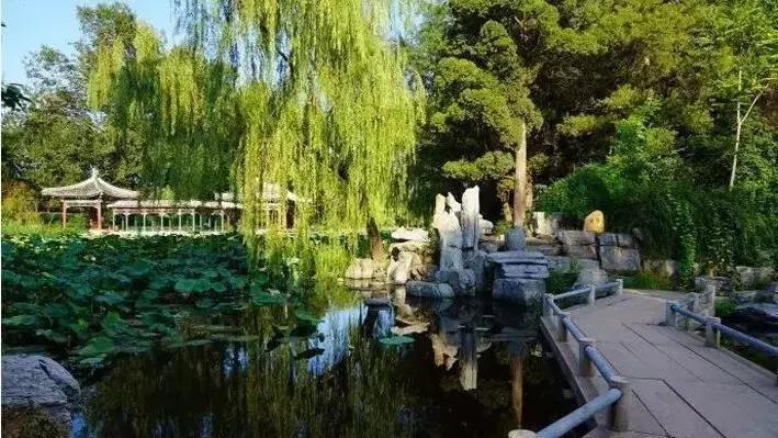 清华大学到底有多厉害？