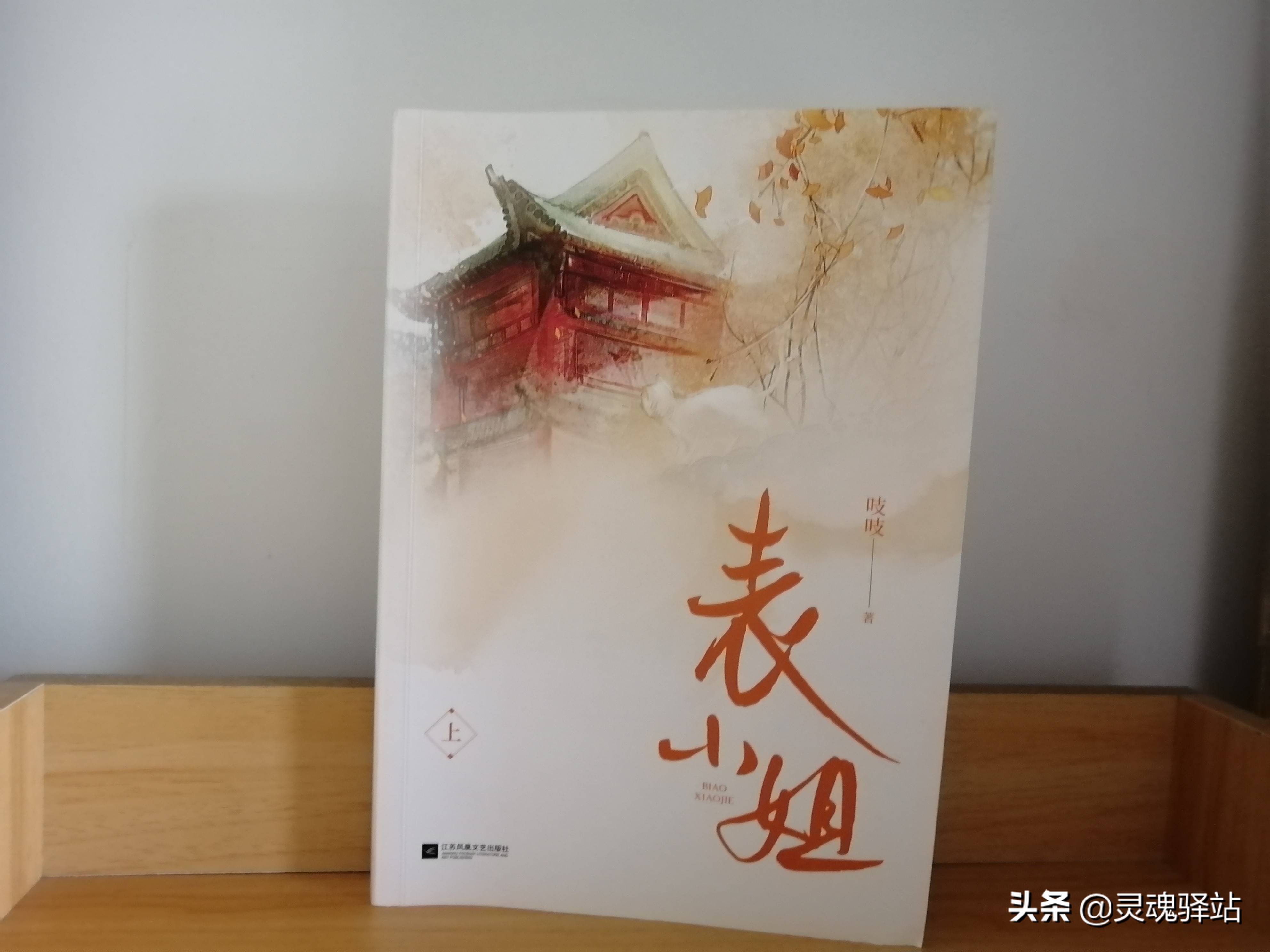 《表小姐》——世间最温暖的事莫过于你寂寥时有惦念你的人