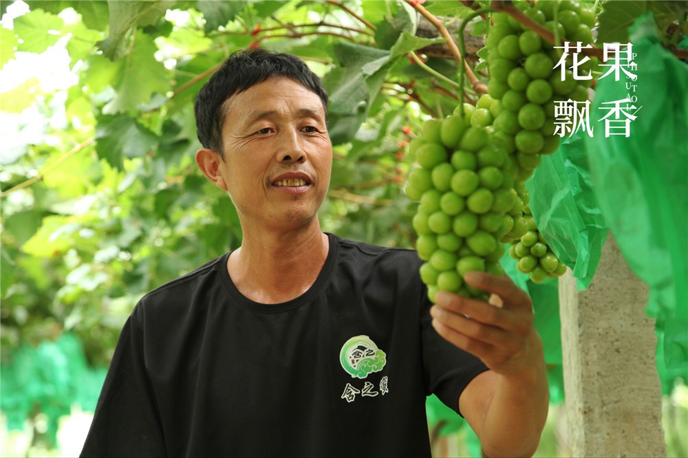 那个五亩阳光玫瑰换一辆大奔的人今年又在市区买房了