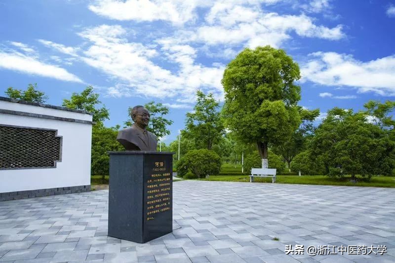 权威发布！浙江中医药大学滨江学院2019年本科招生章程