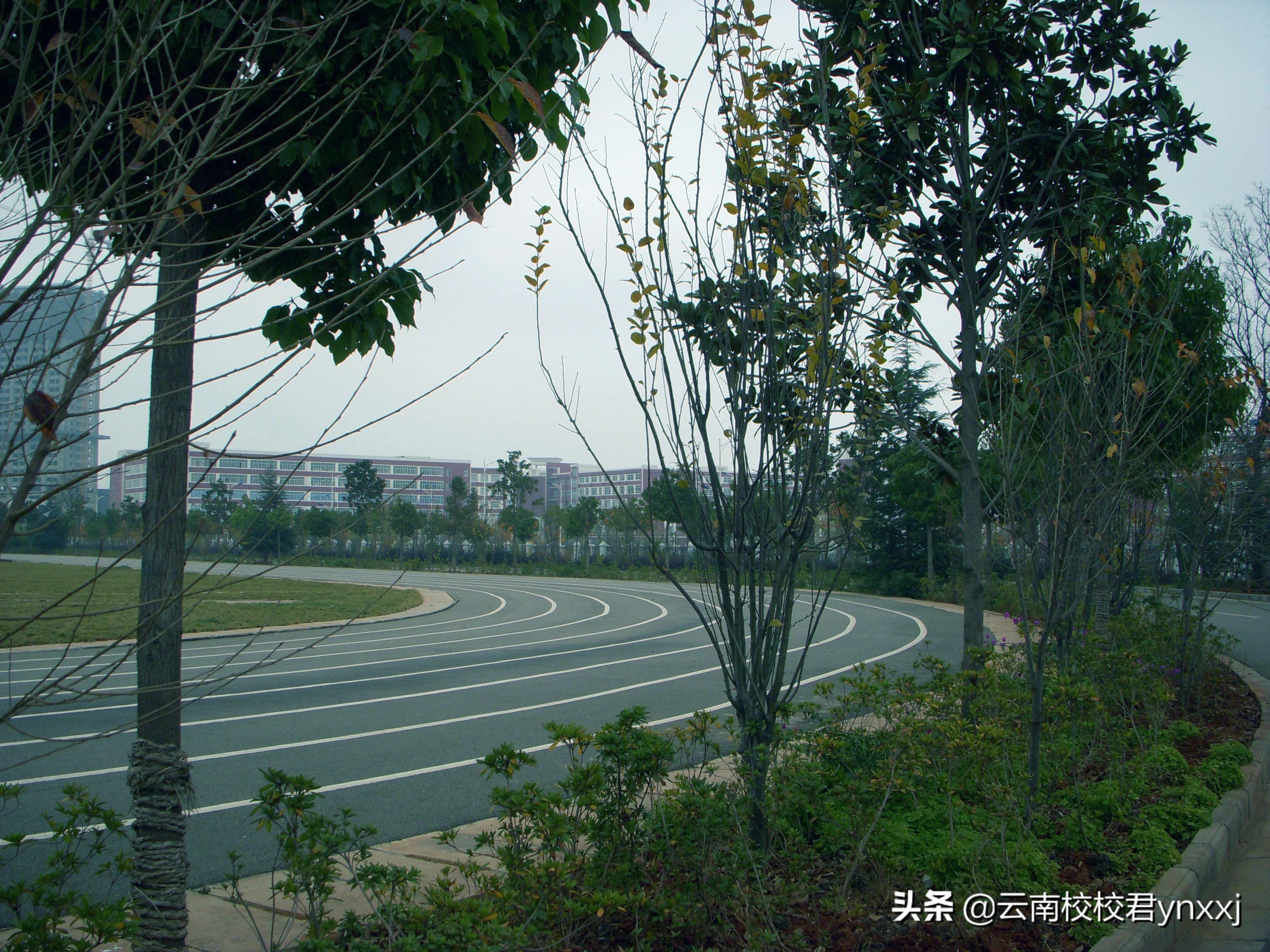 云南曲靖财经学校的校园环境怎么样？