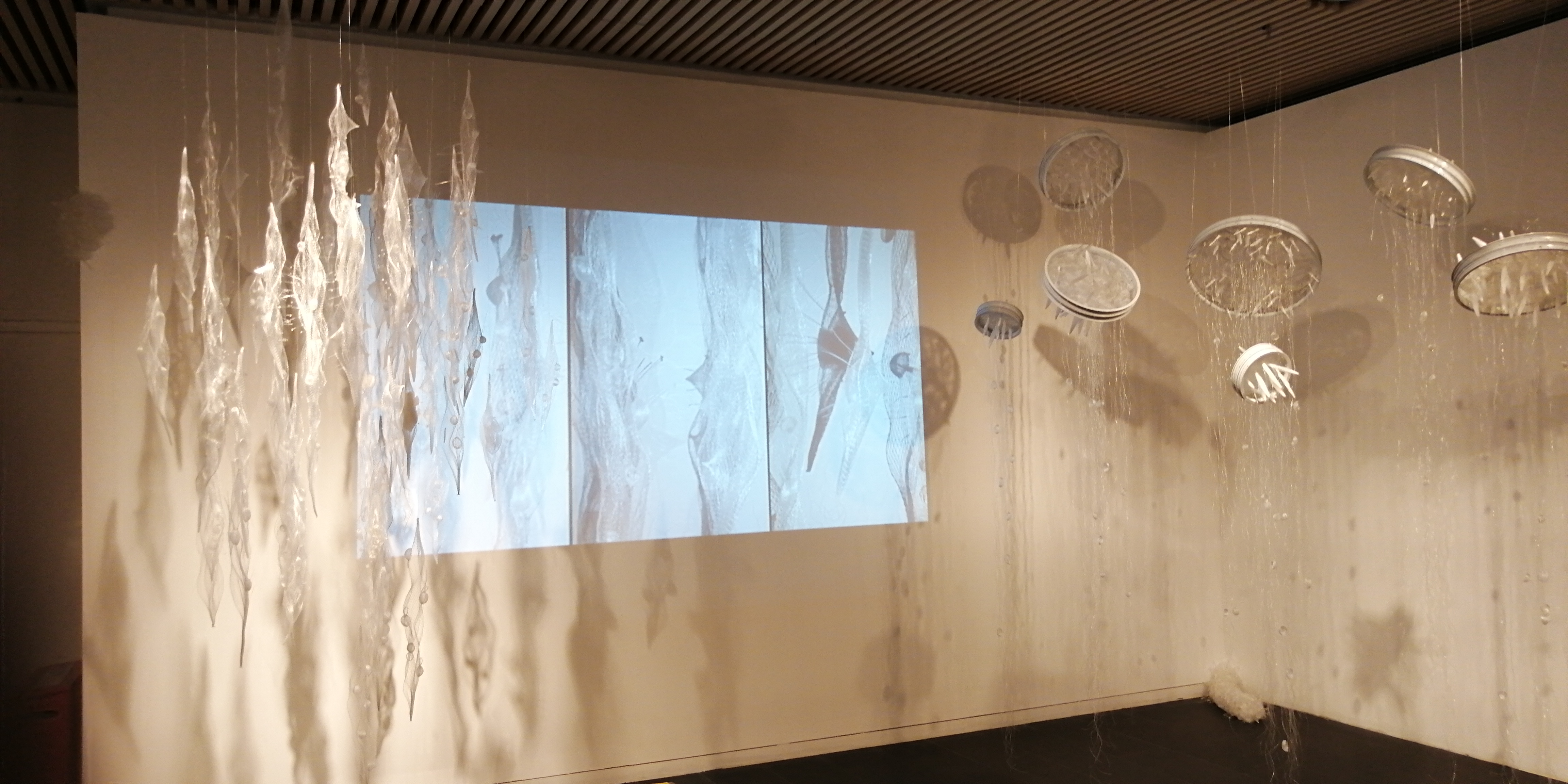 博士点 | 工艺美术、陶瓷艺术、非遗再生