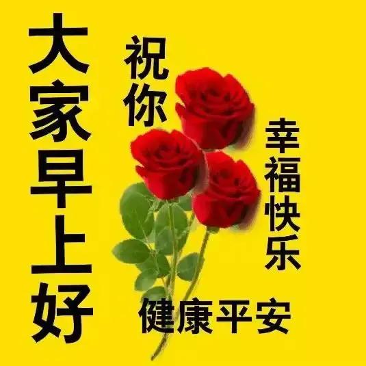 美女表情包：真正的绝望，是内心的迷茫