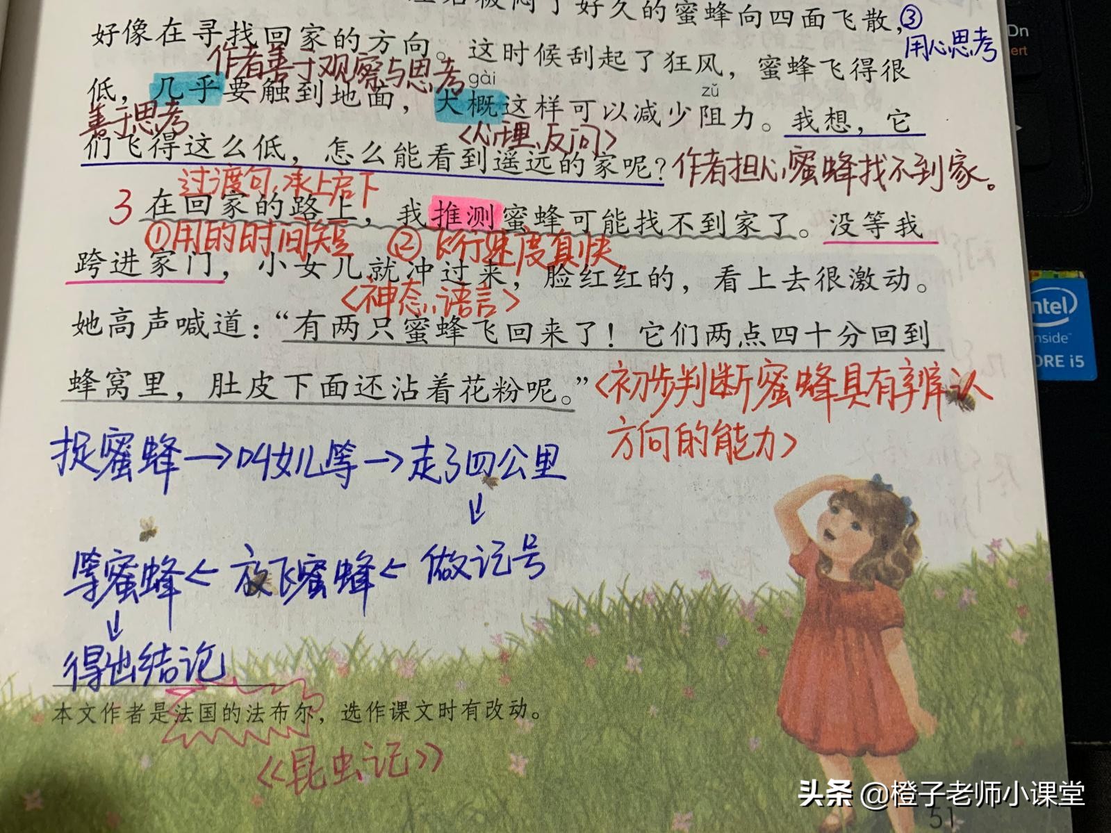 三年级课文《蜜蜂》，教师整理笔记认识法布尔，学习科学精神