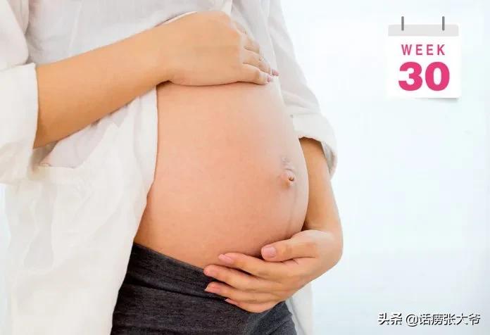 1至40周胎儿发育过程图