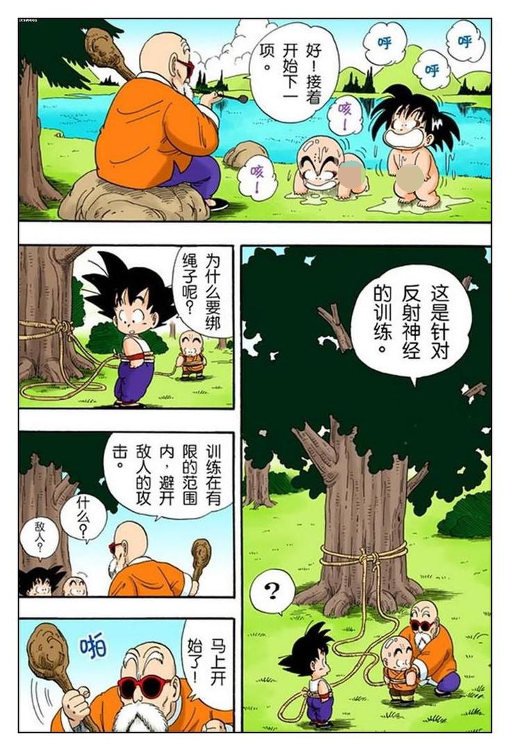 孙悟空修行篇 第31话 龟仙流的严格修行