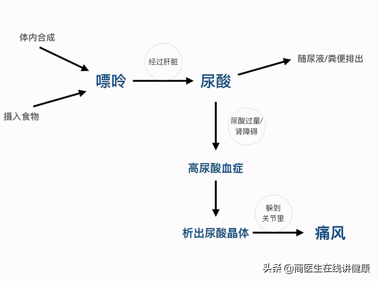 近一半高血压患者也有高尿酸，这两者有什么关系？治疗有何区别？