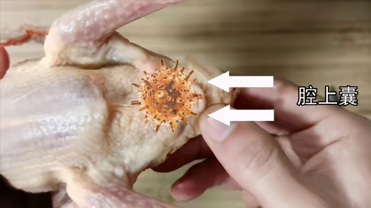 鸡这8个部位存有毒素,切记别乱吃,30多年老厨师为您详细讲解