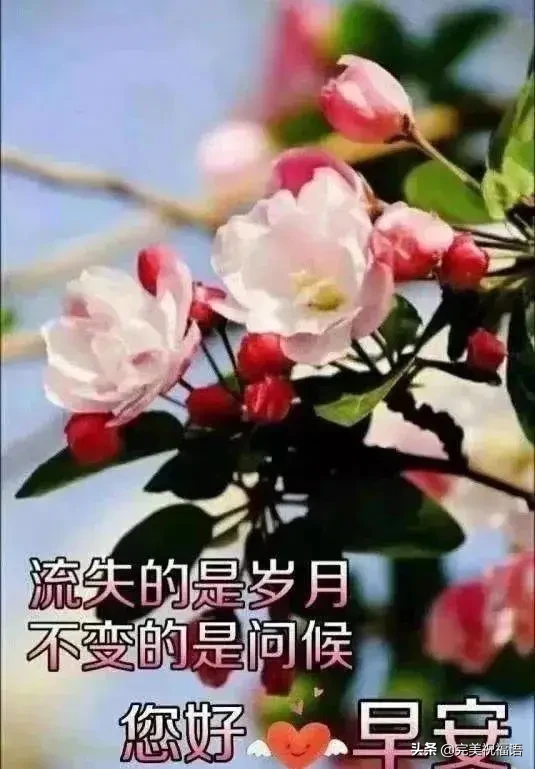 少一些抱怨，它只会使你堕落；多一些感恩，它能使你昂扬。早安