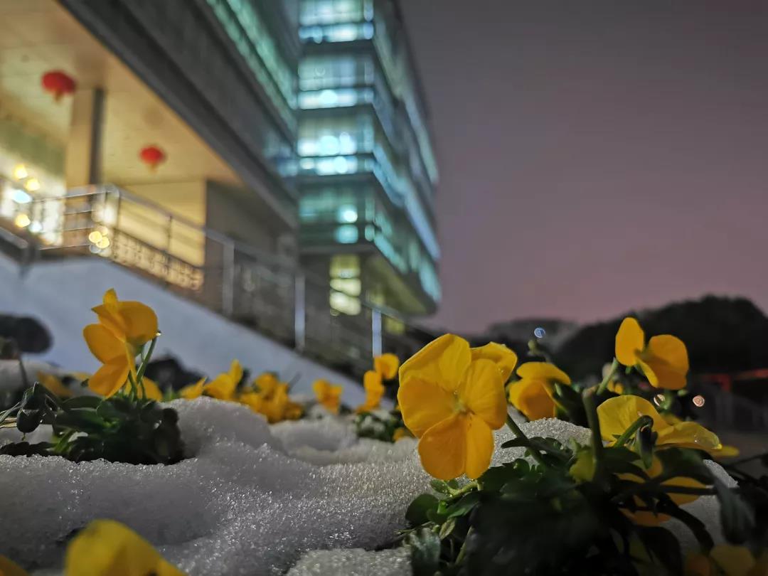 神仙颜值！坐拥