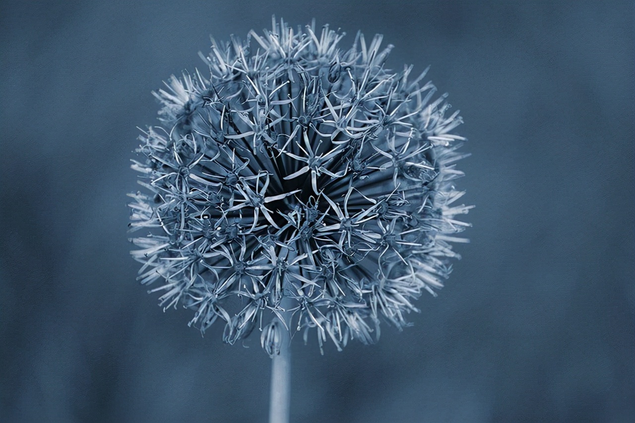 为什么说，写作是这个时代最好的投资