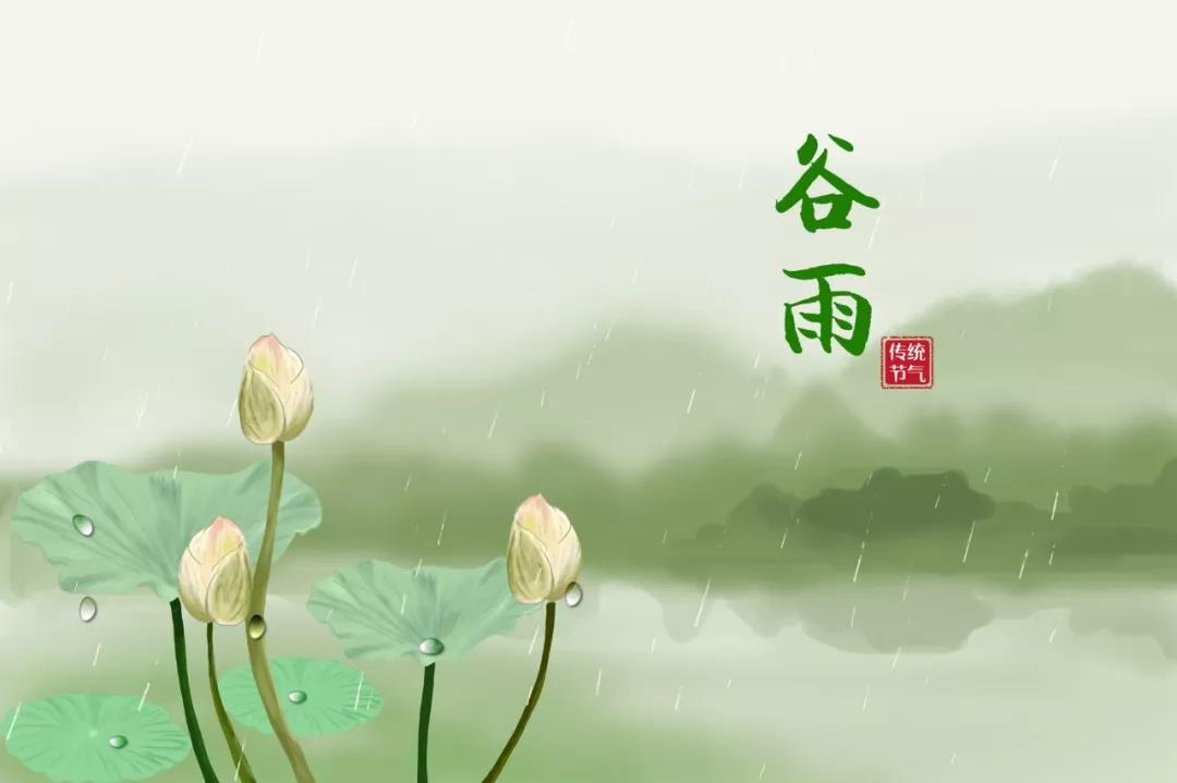 谷雨：愿有春雨润你身，愿有良人慰你心