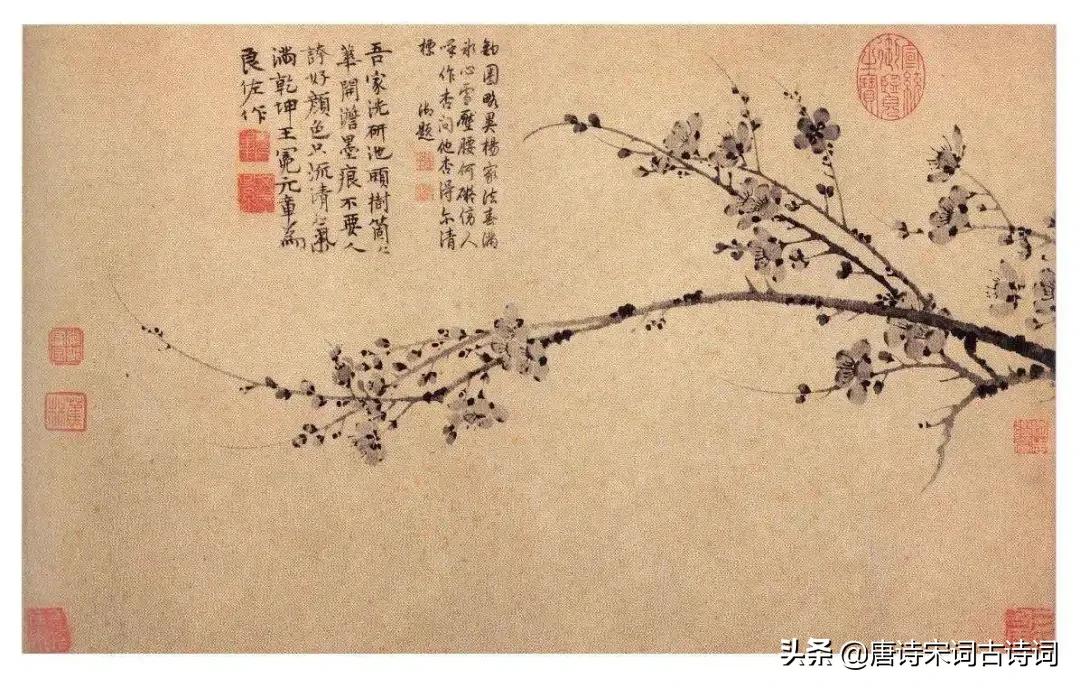 古诗词里的梅花，美得彻骨