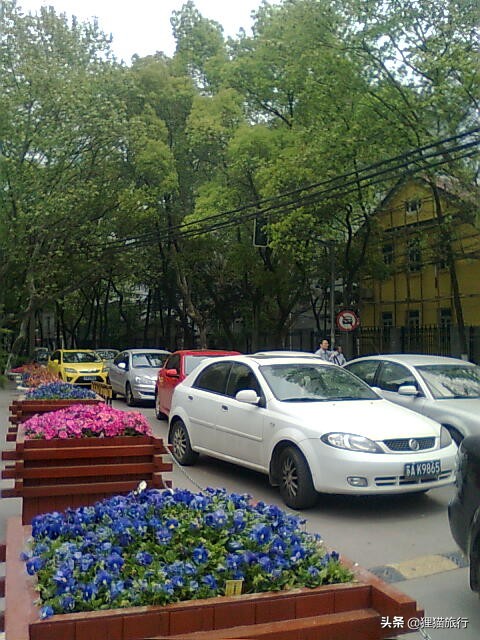 百年名校南京大学一日游，八年前的老照片带你回忆南大