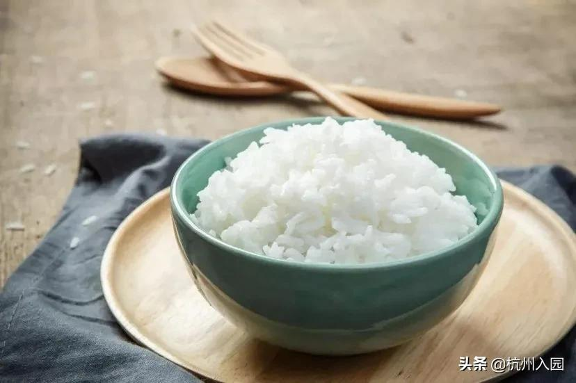 孩子在幼儿园吃了啥?杭州7所餐食超棒的幼儿园!看你家上榜没?