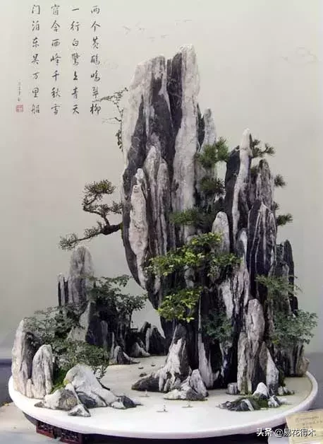 鬼斧神工赏盆景之：诗词和盆景艺术