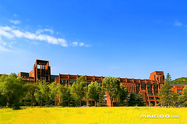 2020山东十五所名校排行榜 山东最好的十所大学 山东最出名的大学