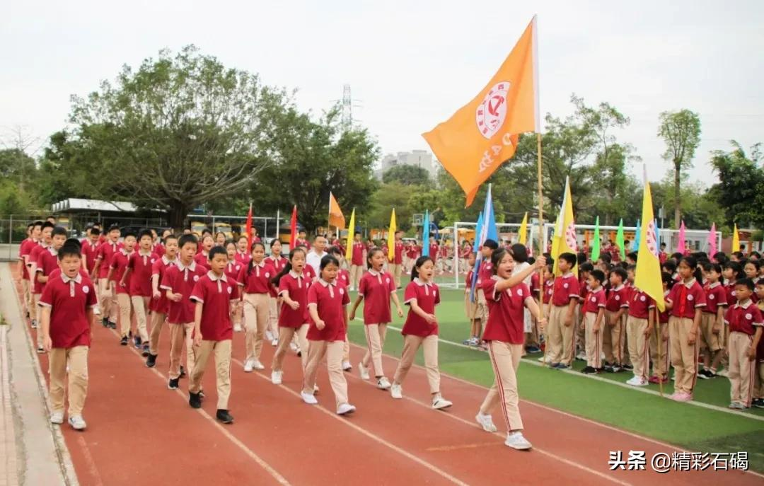 石碣四海学校2021年秋季学期招生简章来了~