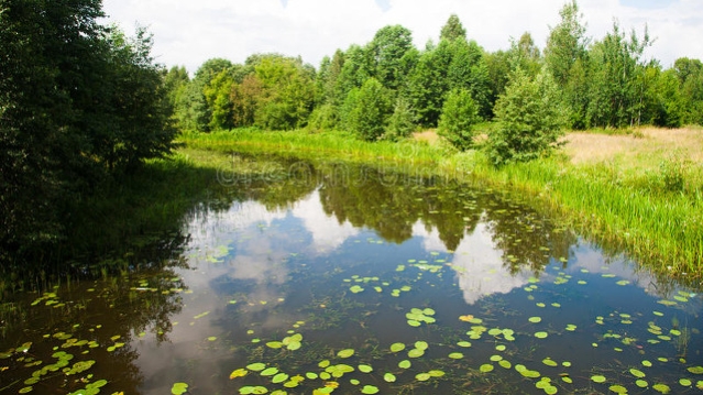 做好职业规划，收获美好人生