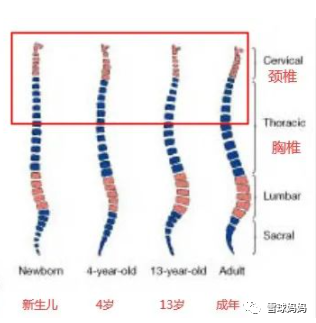 宝宝到底多大用枕头？1岁还是2岁？儿童枕头怎么选，看这6点