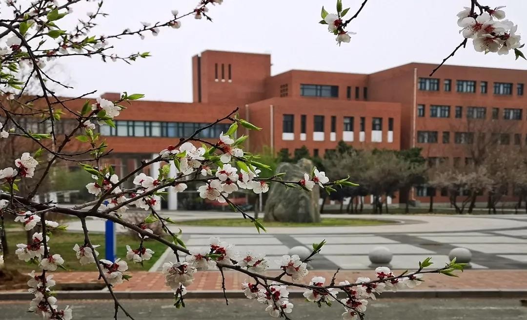 国际认证！今年，辽宁这4个专业“火了”，毕业可进入500强名企工作！