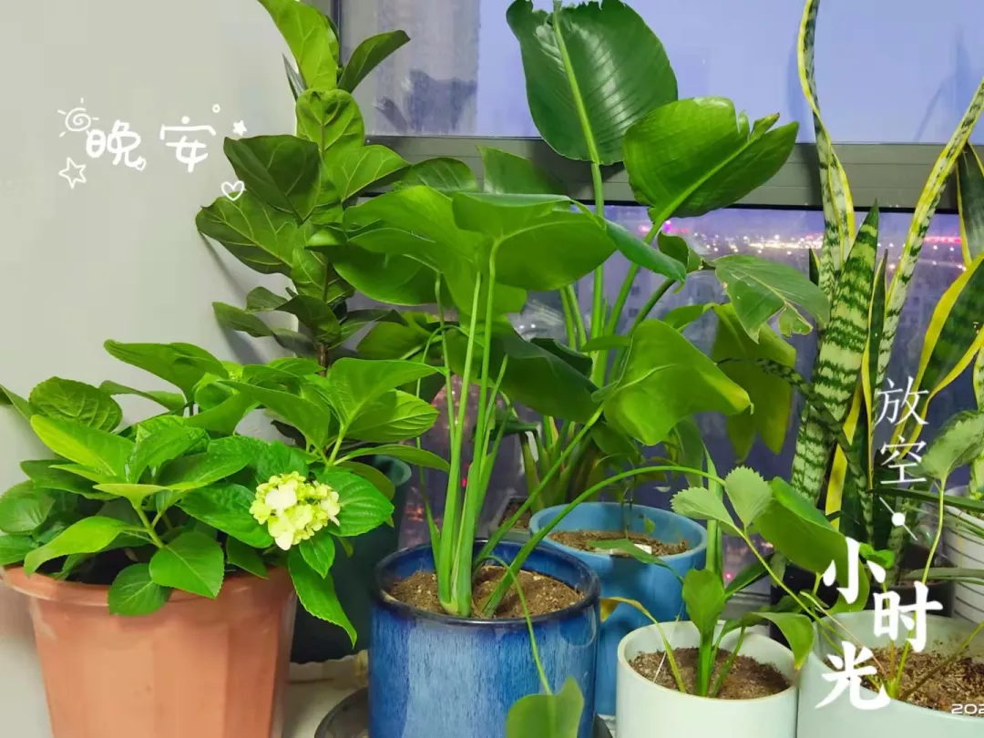 县城房子自装日记:硬装六万,装修效果很满意(内附清单)