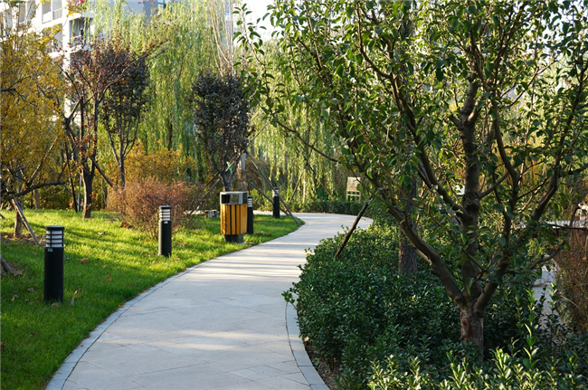 河北师范大学2020招生计划与招生录取快讯