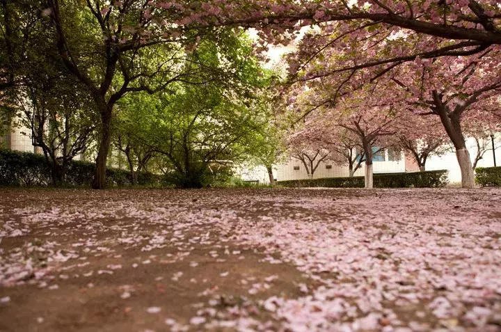 南方医科大学学报（陌生的常见病）