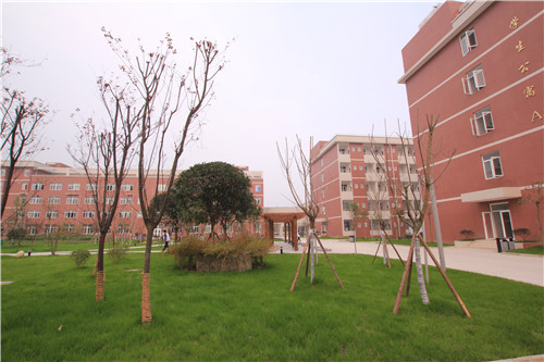 成都最好卫校_都江堰技师学校怎么样