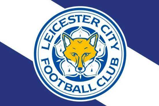 奇迹的拿下英超冠军,绰号蓝狐,也有称其为狐狸城,因其主色为蓝色,队徽