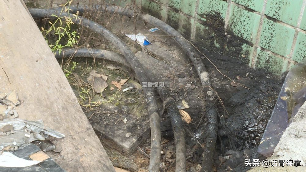 雅苑不“雅”：主电缆裸露地面 安全隐患大