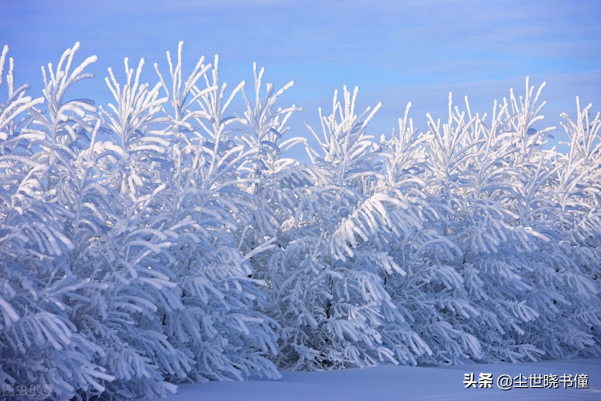 刘长卿有“五言长城”的美誉，其实六言绝句同样水平高，意境唯美