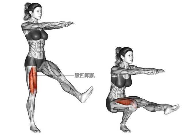 幾大徒手訓練動作，在家就能鍛鍊身體，提高肌肉維度