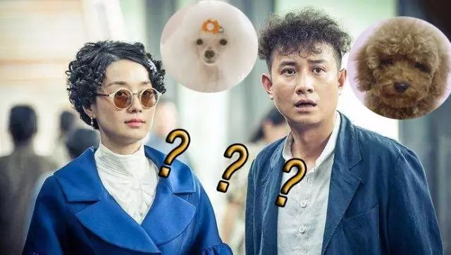 且行且珍惜5年，文章和马伊琍宣布离婚前的12时辰，发生了什么？
