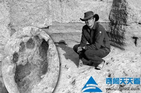 世界未解之谜大全（分享世界10大未解之谜）