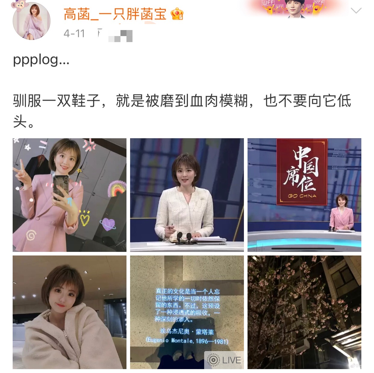 东京奥运会现场女解说员有哪些人(26岁央视美女解说员惊艳奥运赛场！名校毕业是学霸，颜值不输明星)