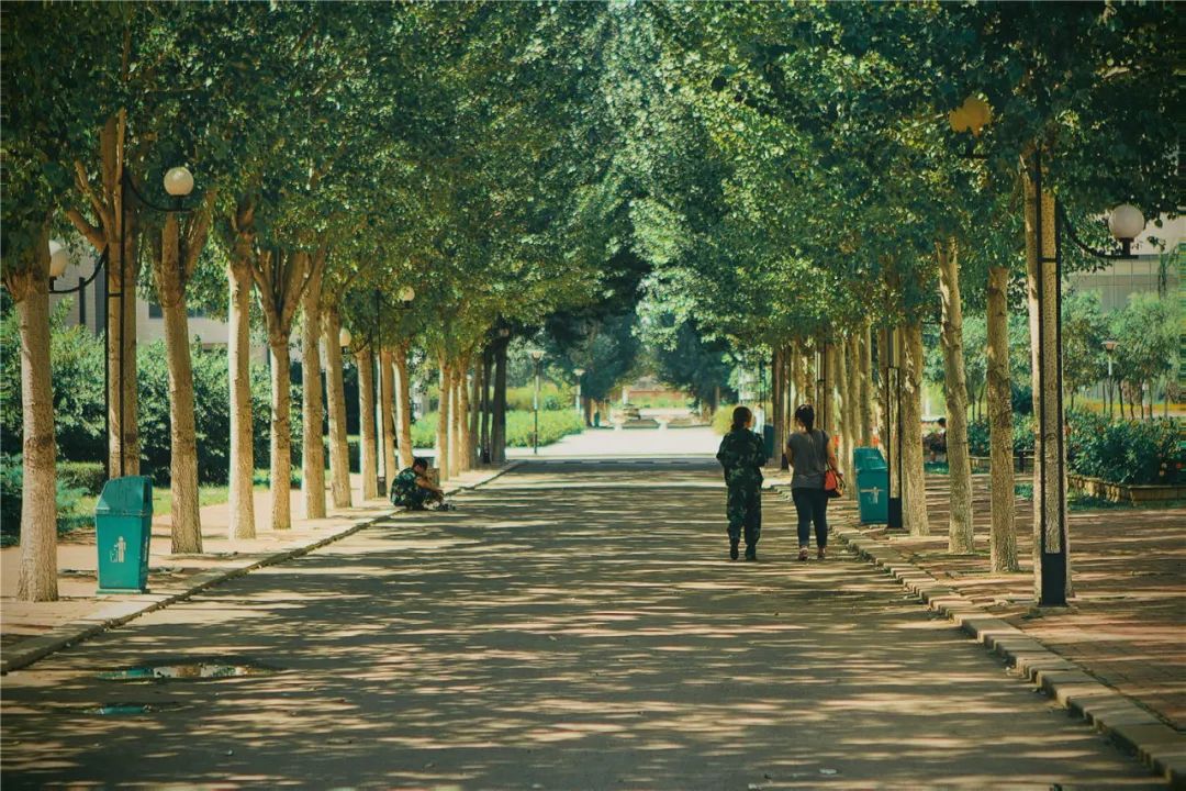 新区高校集结 | 网络铸魂 数字德育，走进黑龙江财经学院！