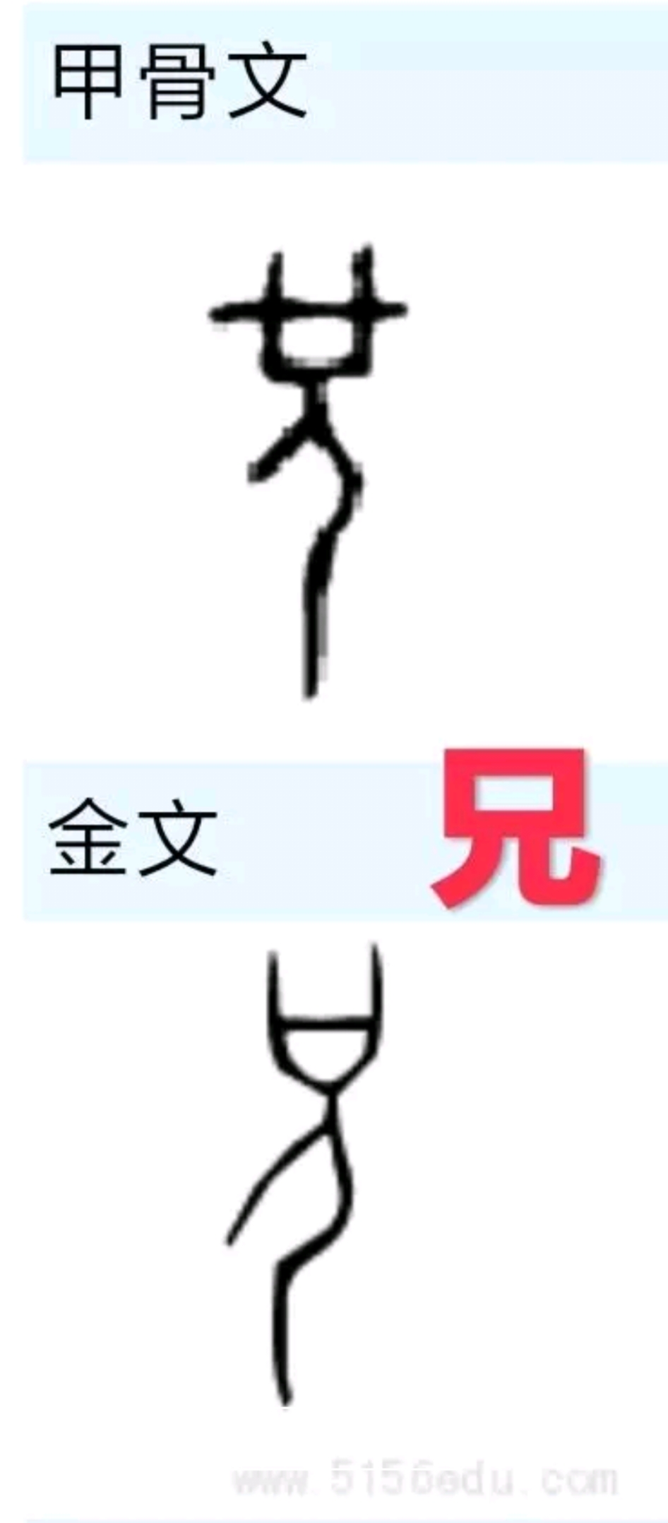 金字旁加弟是什么字（解析兄弟二字甲骨文金文象形原型）