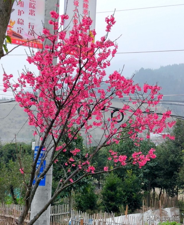 象溪乡菜溪岩
