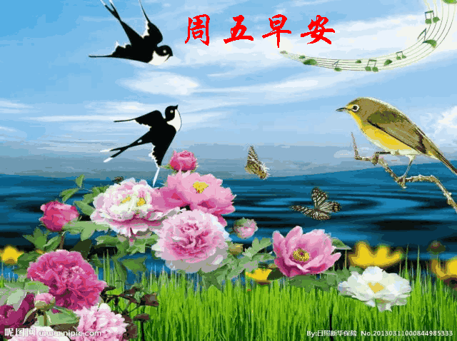 640_478gif 动态图 动图