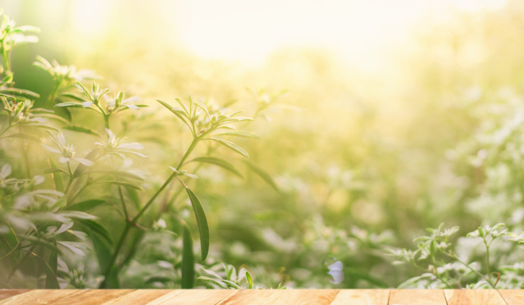 厉害了！我青苏！成都市青苏职业中专学校3位学子喜获国家奖学金