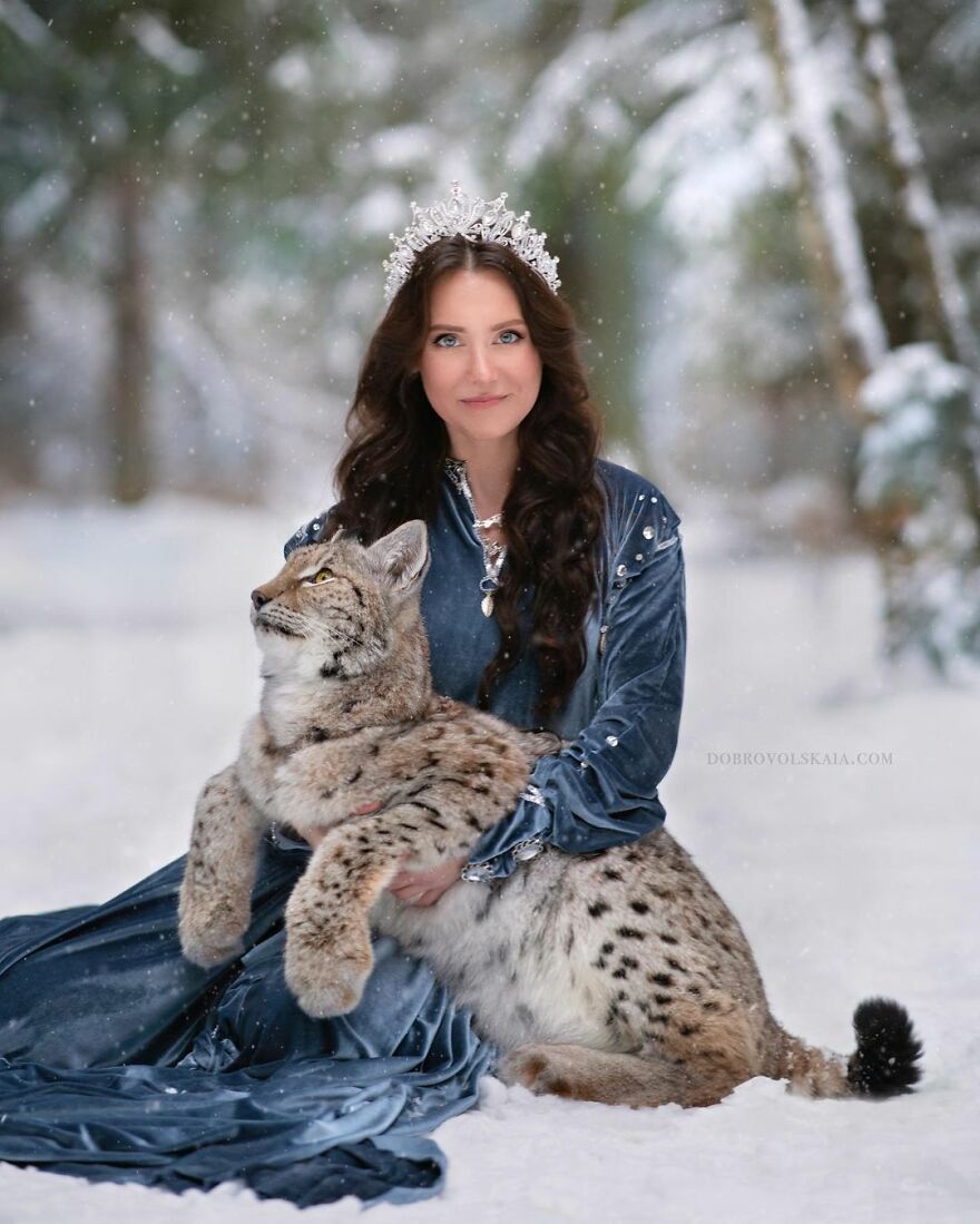俄罗斯摄影师冰天雪地,拍摄60张美女与野兽,熊和老虎是标配