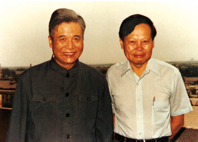 杨振宁先生数理工作漫谈：单位圆定理及其他