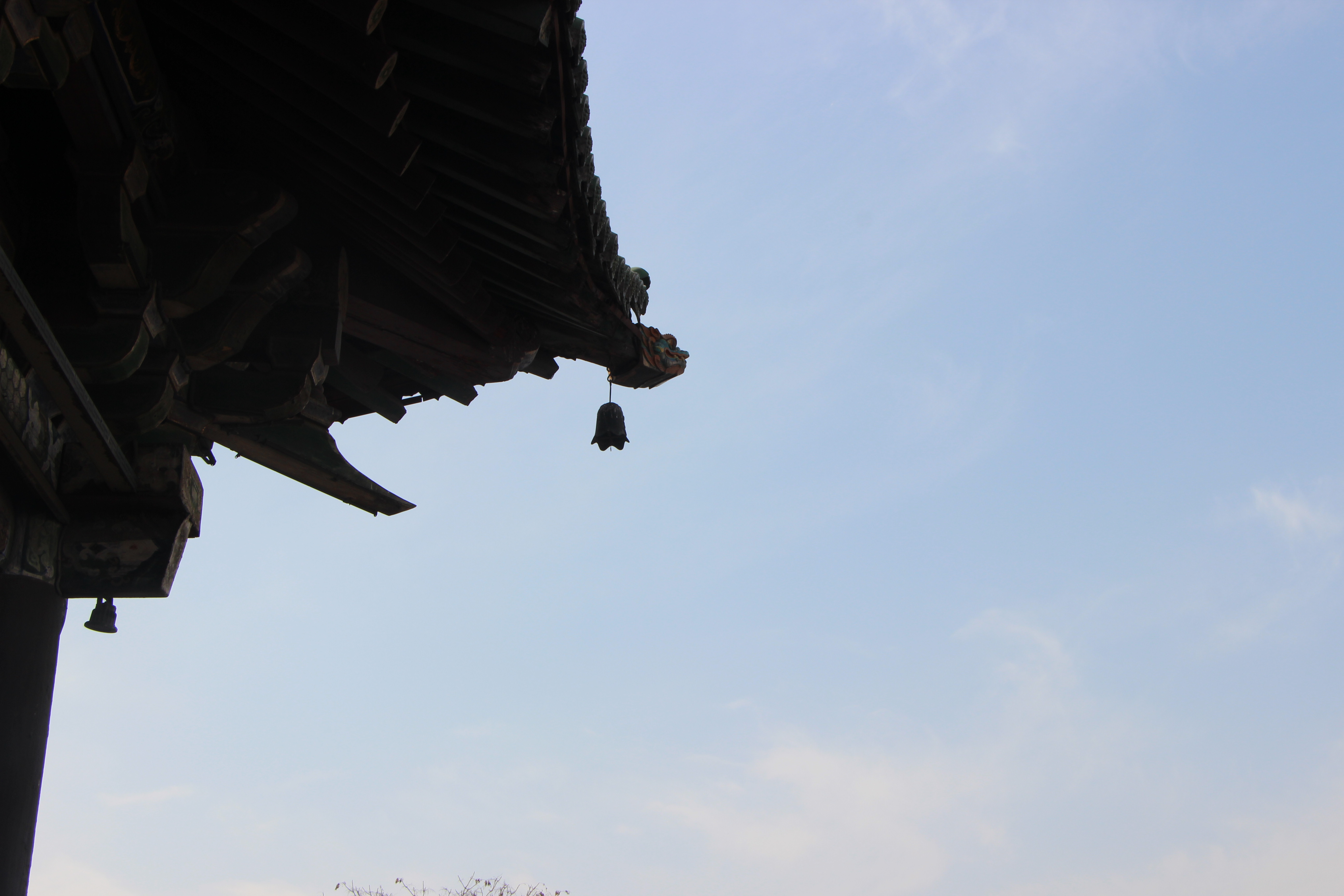 这所211北京市排名十九，学习氛围超好，风景园林专业全国领先